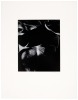 Four gelatin silver prints by Bob Werling - 4