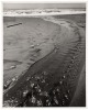 Northmost shore Pyramid Lake, Nevada [with] Stream, Bolema Club Beach - 2