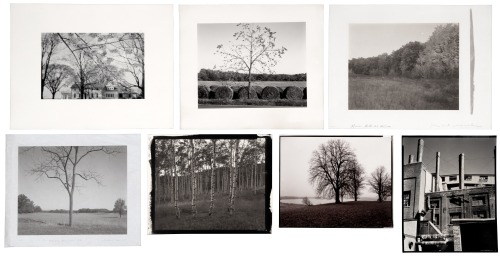 Seven photographs by Michael Lardizabal