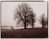Seven photographs by Michael Lardizabal - 3