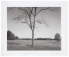 Seven photographs by Michael Lardizabal - 6