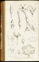 Letters on the Elements of Botany. Addressed to a Lady. By the celebrated J.J. Rousseau. Translated into English, with notes, and twenty-four additional letters, fully explaining the system of Linnaeus