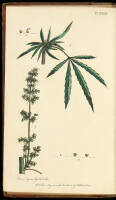 Thirty-Eight Plates, with Explanations; Intended to Illustrate Linn&aelig;us's System of Vegetables, and Particularly Adapted to the Letters on the Elements of Botany