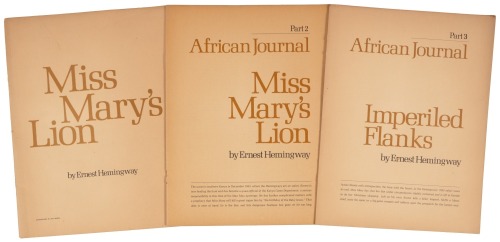 Miss Mary's Lion