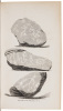 Personal Narrative of Explorations and Incidents in Texas, New Mexico, California, Sonora, and Chihuahua, Connected with the United States and Mexican Boundary Commission, During the Years 1850, '51, '52, and '53 - 7