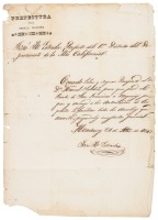 Passport for G.M. Waseurtz af Sandels