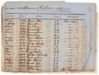 Expediente documenting and describing a voyage transporting Chinese indentured servants from Macao to Cuba, sewn together with a Manifest listing the passengers on the voyage