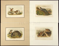 Nine hand-colored lithographs from The Quadrupeds of North America