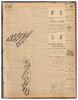 Arizona Gazette