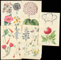 Collection of botanical prints