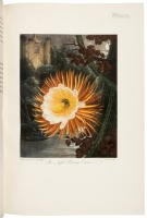 Great Flower Books 1700-1900: A Bibliographical Record of Two Centuries of Finely-Illustrated Flower Books