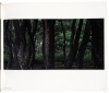Sacred Wood - 3