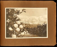 From Mt. Shasta to Mt. Lowe: Twenty-four Views of California "The Beautiful"