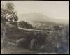 Sepia-tone gelatin silver photograph of Mill Valley California