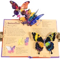 Young Naturalist's Pop-Up Handbook:Butterflies [with] Beetles