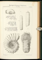 Geological Survey of California. Palaeontology.