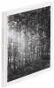 An Everchanging Monument: A Photographic Narrative about The Musical Gardens by Carl Theodor S&oslash;rensen