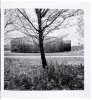 An Everchanging Monument: A Photographic Narrative about The Musical Gardens by Carl Theodor S&oslash;rensen - 3