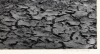 Boy Fishing - 2