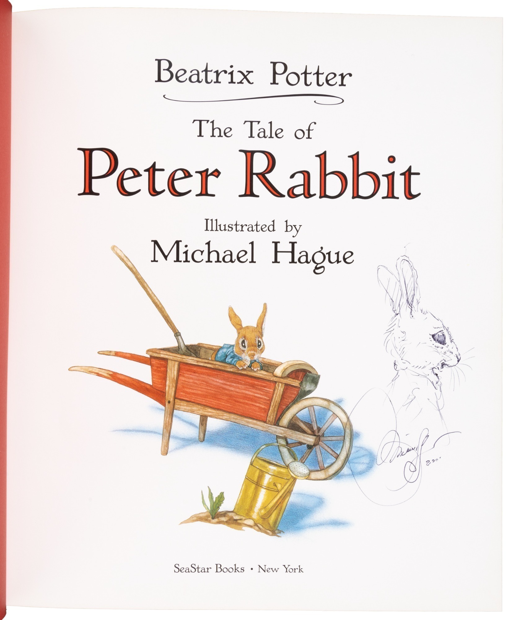 WITHDRAWN - The Tale of Peter Rabbit