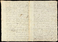 Manuscript petition by Lewis Cook to the Great Council of the State of New York, at the Albany Council-Fire