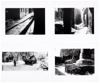 Beyond Borders - with collection of eighty photographs