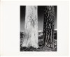 Yosemite and the Range of Light [with] The Print - 3