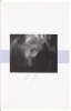 Seven Volumes of Photography by John Gossage - 4