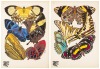 Papillons: Vingt planches en phototypie colori&eacute;es au patron donnant 81 papillons et 16 compositions d&eacute;coratives - 4
