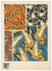 Papillons: Vingt planches en phototypie colori&eacute;es au patron donnant 81 papillons et 16 compositions d&eacute;coratives - 11