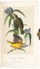 The Birds of America, from Drawings Made in the United States and Their Territories - 7