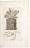 Dissertatione de Generatione Fungorum - 3