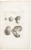 Dissertatione de Generatione Fungorum - 4