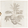 An Account of the Voyages Undertaken by the Order of His Present Majesty for Making Discoveries in the Southern Hemisphere, and successively performed by Commodore Byron, Captain Wallis, Captain Carteret, and Captain Cook, in the Dolphin, the Swallow, and - 4