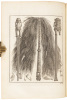 An Account of the Voyages Undertaken by the Order of His Present Majesty for Making Discoveries in the Southern Hemisphere, and successively performed by Commodore Byron, Captain Wallis, Captain Carteret, and Captain Cook, in the Dolphin, the Swallow, and - 5