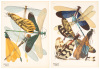 Insectes, vingt planches en phototypie colori&eacute;es au patron donnant quatre-vingts insectes et seize compositions d&eacute;coratives - 5