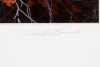 Branches and Maple - 2