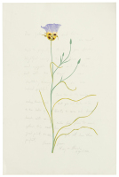 Autograph letter signed by Henry Evans on proof print