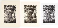 California Men's Colony, San Luis Obispo, CA - three variants