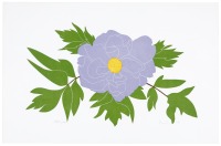 Peony