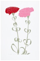 Carnations