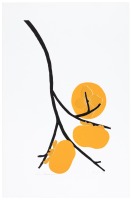 Persimmons