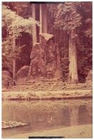 Bohemian Grove Owl Shrine photograph