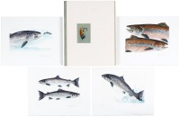 Atlantic Salmon