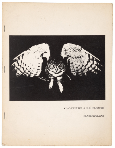 Flag Flutter & U.S. Electric