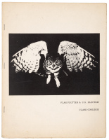 Flag Flutter & U.S. Electric