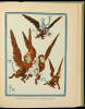 The Wizard of Oz Waddle Book - 5
