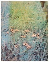 3 Days of Peace and Music [cover title] Aquarian Exposition: Woodstock Music and Art Fair