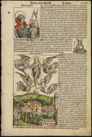 Nuremberg Chronicle - one leaf with color woodcuts