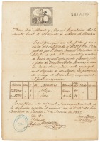 Document recording the transfer of two slaves into the "Patronato" system during the final stages of slavery in Cuba